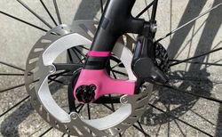 Fokus Cayo Disc Carbon Rennrad für Frauen kaufen in Appenzell Rhodes-Intérieures #3 | velomarkt.ch