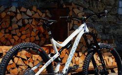 Commencal Meta AM 29 — XX Anniversary Edition — No. 66/100 — Size L | Commencal Meta AM 29 — XX Anniversary Edition | velomarkt.ch