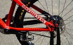 Commencal Absolut 4X — Custom Nostalgia Build kaufen in Zug #4 | velomarkt.ch