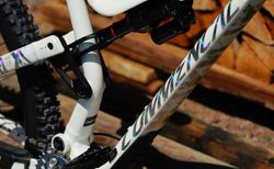 Commencal Meta AM 29 — XX Anniversary Edition — No. 66/100 — Size L kaufen in Zug #3 | velomarkt.ch