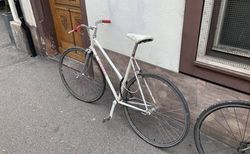 GESTOHLEN Gerber Damenvelo gestohlen in Bâle-Ville #2 | velomarkt.ch