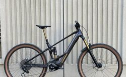 Orbea Wild M-LTD Grösse M | Größe M ideal für Körpergrösse 167-179cm | velomarkt.ch