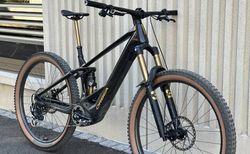 Orbea Wild M-LTD Grösse M kaufen in Aargau #2 | velomarkt.ch