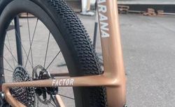 Factor Sarana kaufen in Obwalden #2 | velomarkt.ch
