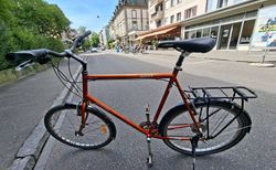 Andale cycletech | Top touren rad | velomarkt.ch