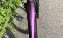 Wegen Nichtgebrauchs eBike Scott Contessa Stricke 920 violett kaufen in Aargau #5 | velomarkt.ch