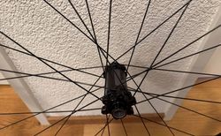 NEWMEN EVOLUTION SL A.30 kaufen in Zürich #3 | velomarkt.ch