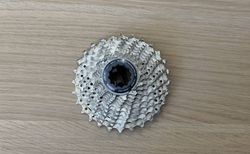 Cassette shimano ultegra 11-28 | Cassette shimano R8100 ; 11-28 ; 11v | velomarkt.ch