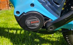 E-MTB TREK Powerfly 4 Gen.4 / 2024 kaufen in Thurgau #2 | velomarkt.ch