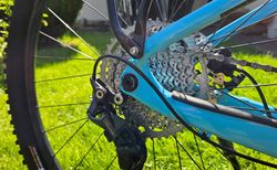 E-MTB TREK Powerfly 4 Gen.4 / 2024 kaufen in Thurgau #3 | velomarkt.ch