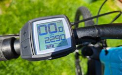 E-MTB TREK Powerfly 4 Gen.4 / 2024 kaufen in Thurgau #5 | velomarkt.ch