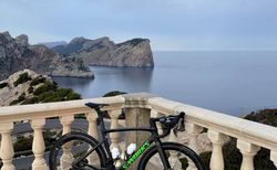 S-Works Tarmac SL7 – Dura-Ace Di2 – THM Clavicula – Carbon-Ti – Rapide CLX – 7.04kg – Grösse 54 | S-Works Tarmac SL7 – Dura-Ace – THM Clavicula - 54 | velomarkt.ch