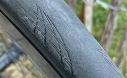 Laufradsatz Fulcrum Wind 55 DB kaufen in Zurich #2 | velomarkt.ch