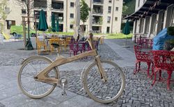 COCO-MAT - das original Holzbike | 2-Gang Nabenschaltung | velomarkt.ch