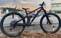 RAAW Madonna V2.2 - Grösse L | Öhlins/Fox Fahrwerk mit Hayes Dominion | velomarkt.ch