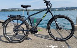 High-End Custom E-Bike SUV | Unzerstörbarer 4130 Stahl, 2350Wh Akku, 135Nm | velomarkt.ch