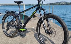 High-End Custom E-Bike SUV kaufen in Bern #5 | velomarkt.ch