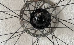 Laufrad DT Swiss GR 531 mit Nabendynamo SON28 inkl. Bremsscheibe &amp; Bereifung kaufen in Berne #2 | velomarkt.ch