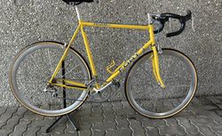 Fort Rennvelo | Rennvelo | velomarkt.ch