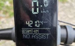 Flyer T-Serie 45 km/h kaufen in Lucerne #2 | velomarkt.ch