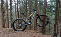 Ibis Ripmo AF V2 | Ibis Ripmo AF V2 Gr. XM | velomarkt.ch