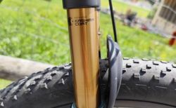 Cube AMS 100 C:68 SLT 29 (2020) – Top-Ausstattung (SRAM XX1, Fox Factory) &amp; Powermeter (Favero Assioma Pro MX1) – Nur 10 kg! kaufen in Tessin #3 | velomarkt.ch