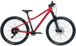 Rascal Bikes Ruby Red Wild 27.5 27.5 Ruby Red | 76.226.272 | velomarkt.ch