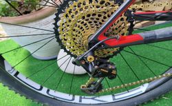 Canyon Exceed CF SLX 9.9 Pro Race Grösse S – XX1, RS-1, Duke Carbon – nur 8,6 kg kaufen in Bern #2 | velomarkt.ch