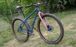 Spot Rocker - 29er Belt Drive single speed / VTT Courroie Rigide Monovitesse kaufen in Vaud #2 | velomarkt.ch