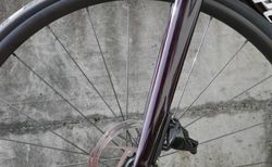 Specialized Roubaix Comp Gr 49 2023 kaufen in Berna #3 | velomarkt.ch