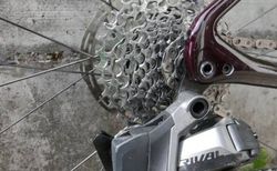 Specialized Roubaix Comp Gr 49 2023 kaufen in Berna #4 | velomarkt.ch