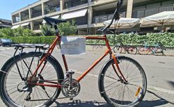 Mtb cycletech kaufen in Berna #2 | velomarkt.ch