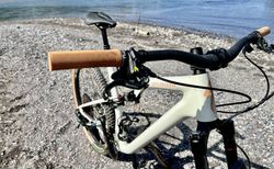Specialized Epic Evo Pro kaufen in Zurigo #3 | velomarkt.ch