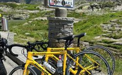 Rennvelo Bianchi zu verkaufen | Team Rynkeby Bianchi Rennrad | velomarkt.ch