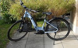 E-Bike IBEX E-Comfort | Enviolo Gates 25 km/h Performance 500 | velomarkt.ch