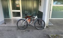 Arrow top Zustand | Ab Service | velomarkt.ch