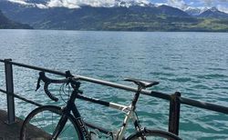 Rennvelo BMC kaufen in Berna #2 | velomarkt.ch