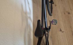 VPACE Dirt Jumper Danny 24 Large kaufen in Basel-Stadt #2 | velomarkt.ch