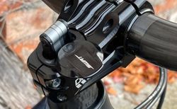 Specialized S-Works Turbo Levo FSR 29, Grösse M, 2019 kaufen in Ticino #5 | velomarkt.ch