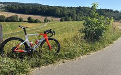 Pinarello Dogma F Ineos Edition | Punarello Dogma F | velomarkt.ch