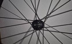 Bontrager Paradigm SL Laufradsatz kaufen in Thurgovie #2 | velomarkt.ch