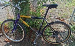 Giant bike | Oldschool karbon | velomarkt.ch
