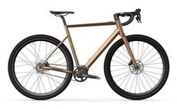 Desiknio Dopamine Peak X20 Smart.Shift L Golden Euphoria | PEAK-0012 | velomarkt.ch
