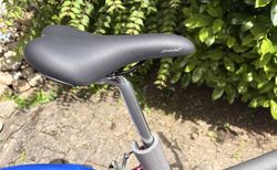 Neues DYB Lola Damen-Citybike kaufen in Soletta #2 | velomarkt.ch