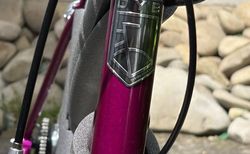 Neues DYB Lola Damen-Citybike kaufen in Soletta #3 | velomarkt.ch