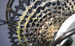 Orbea Wild M11 AXS E-Bike Bosch CX 85Nm 750Wh Carbon Fullsuspension kaufen in St. Gallen #3 | velomarkt.ch