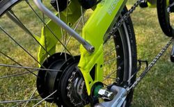 Riese &amp; Müller Birdy City Premium Nexus 8 Gang Faltrad Limette kaufen in Jura #4 | velomarkt.ch