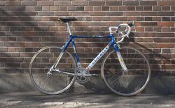 Peugeot Teamline Festina 5000 | Rennvelo Sammlerstück Peugeot Shimano Ultegra | velomarkt.ch