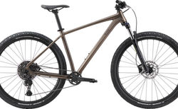 BIXS CORE 500 brown metallic | braun metallic, M, 1x10 | velomarkt.ch