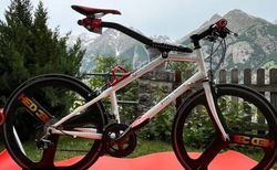 Softride Unikat „Valais“ | Ein Fahrrad, das garantiert einzigartig ist! | velomarkt.ch